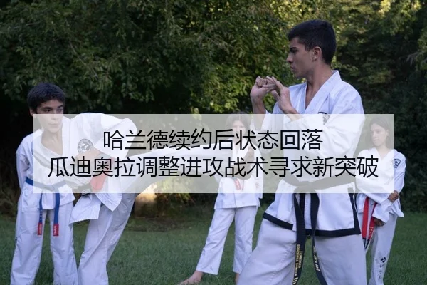 ha-lan-de-xu-yue-hou-zhuang-tai-hui-luo-gua-di-ao-la-tiao-zheng-jin-gong-zhan-shu-xun-qiu-xin-tu-po-2-495.jpg