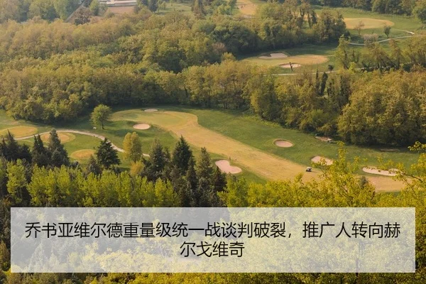 qiao-shu-ya-wei-er-de-zhong-liang-ji-tong-yi-zhan-tan-pan-po-lie-tui-guang-ren-zhuan-xiang-he-er-ge-wei-qi-2-265.jpg